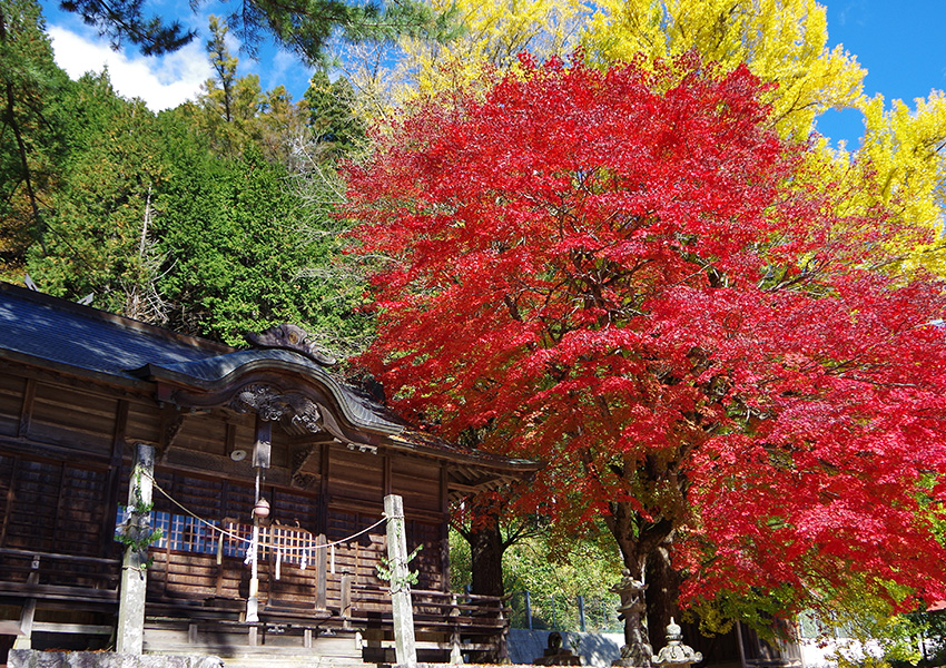 蒜山　徳山神社