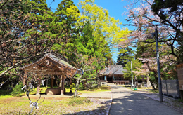 東郷池春の健康散策ウォーキング