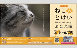 ねこのとけい