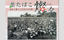 葉タバコ