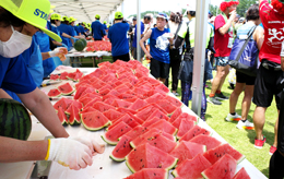 スイカ長いもマラソン