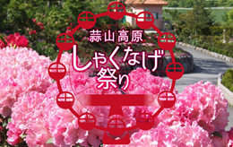 ひるぜんしゃくなげ