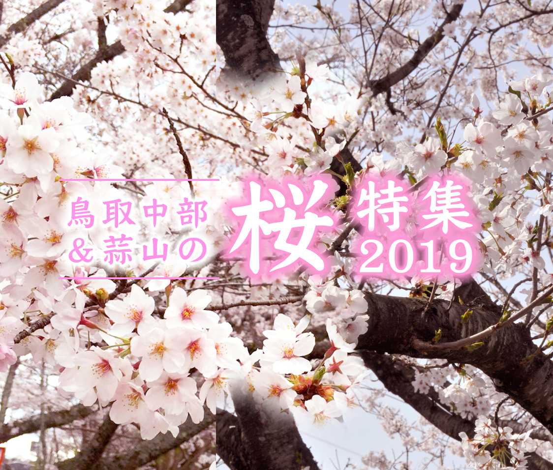 鳥取中部＆蒜山の桜特集2019