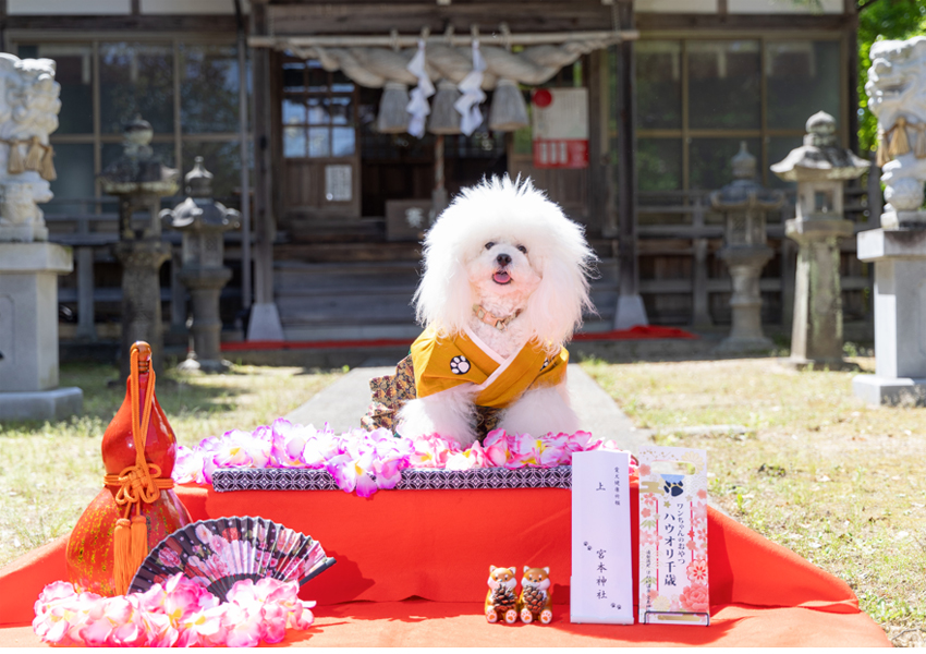 宮本神社 Hau'oli（ハウオリ）