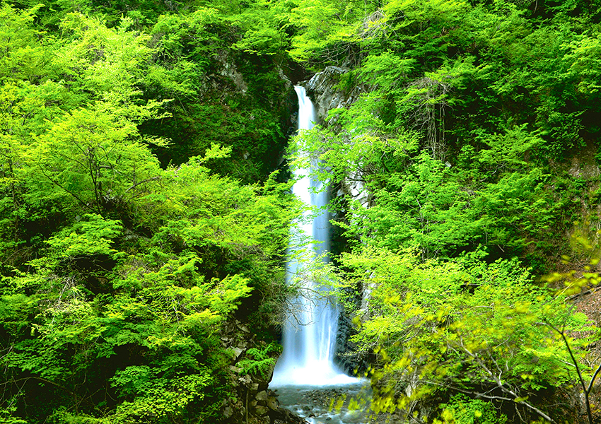 Taki Ooyama (Daisen Oki National Park) Camping Mukai Heiiti