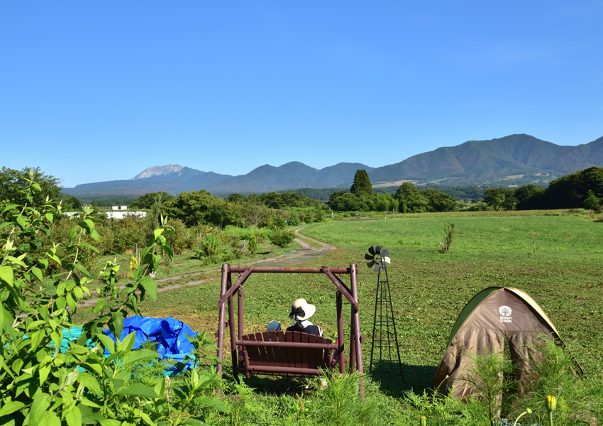 蒜山高原カルチベート観光ブルーベリー園