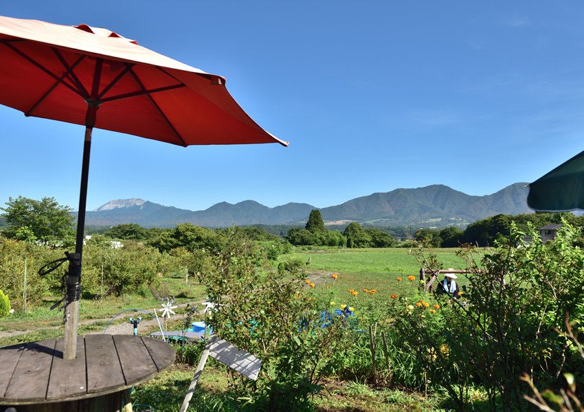 蒜山高原カルチベート観光ブルーベリー園