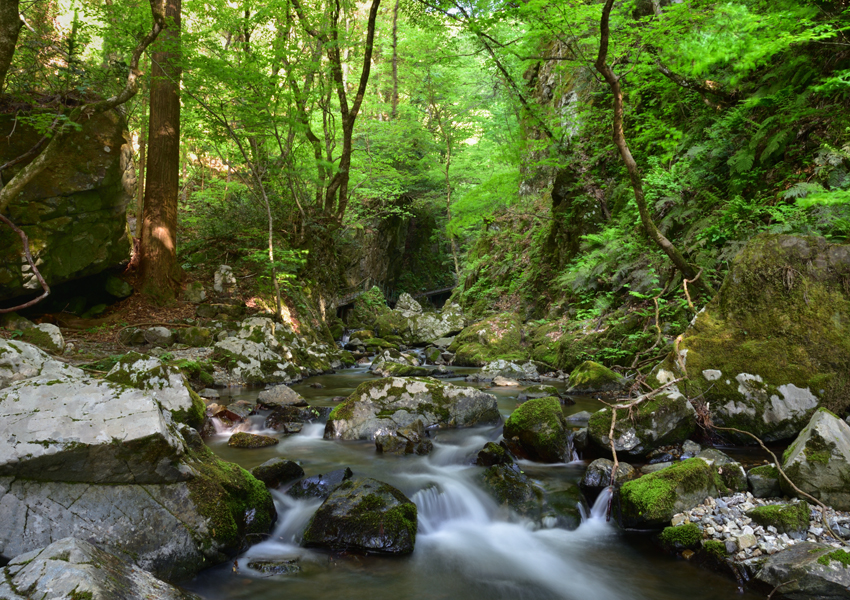 山乗渓谷・不動滝