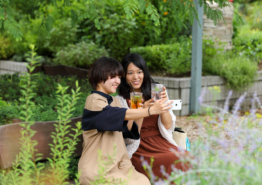 蒜山ハーブガーデン　ハービル