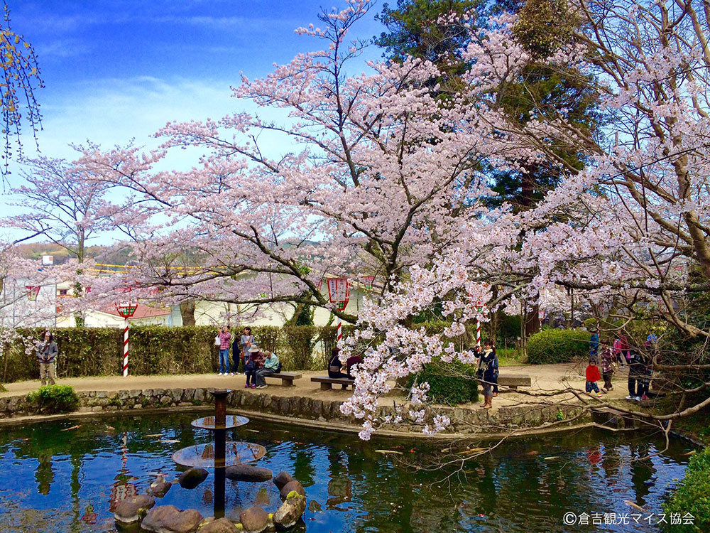 打吹公園（マイス）