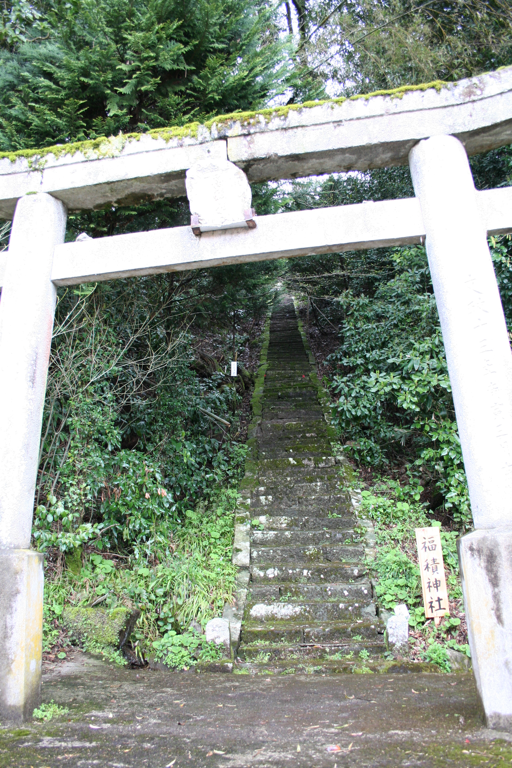 ハッピーを呼び込もう 因幡伯耆國開運八社巡り 鳥取中部 癒しの旅紀行