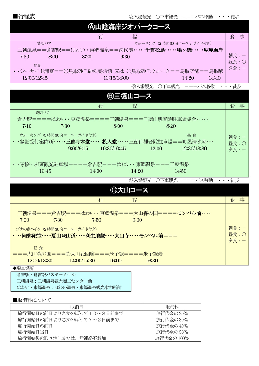 チラシ裏面