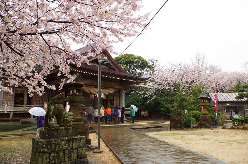 神﨑神社「荒神市」02