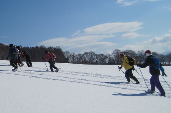 snowshoe