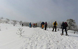 象山～擬宝珠山周回登山スノーシュー