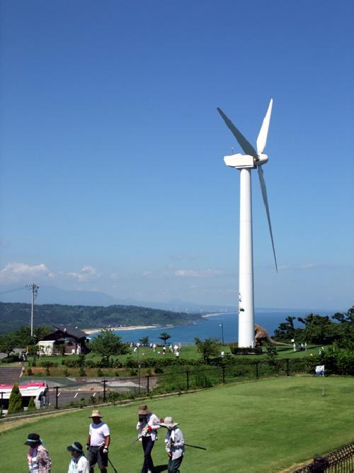 潮風の丘とまり【見る】【体験する】